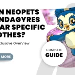 Vandagyre Clothing Options in Neopets