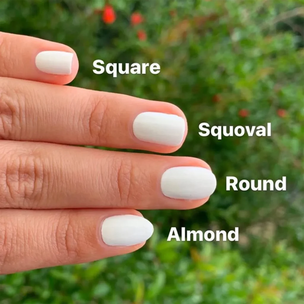 a picture of hand having different shapes of nails along with infographic